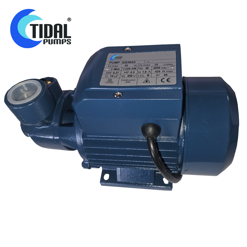 Tidal Pumps Peripheral Pump 220V 0.55KW (PKM70/QB70)