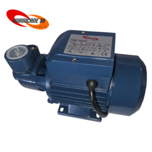Peripheral Pump 220V 0.55KW (PKM70/QB 70)